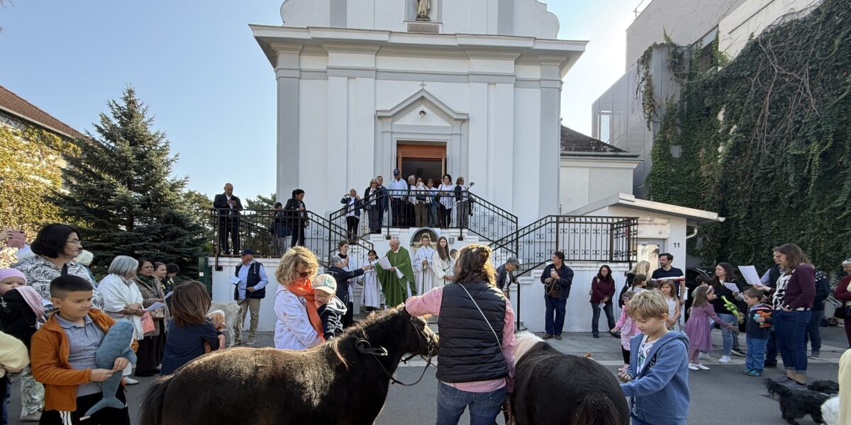 Schutzengelfest und Tiersegnung in der Pfarrgemeinde Herz Jesu